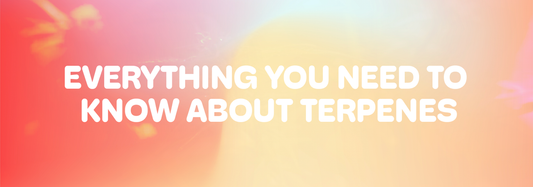 You Need to Know About Terpenes