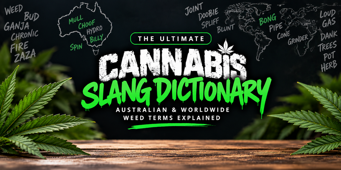 The Ultimate Cannabis Slang Dictionary: Australian & Worldwide Weed Terms Explained