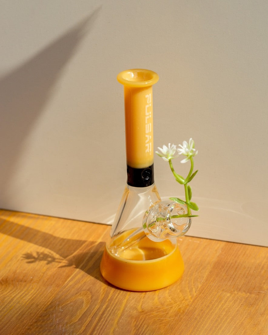 Old Bongs