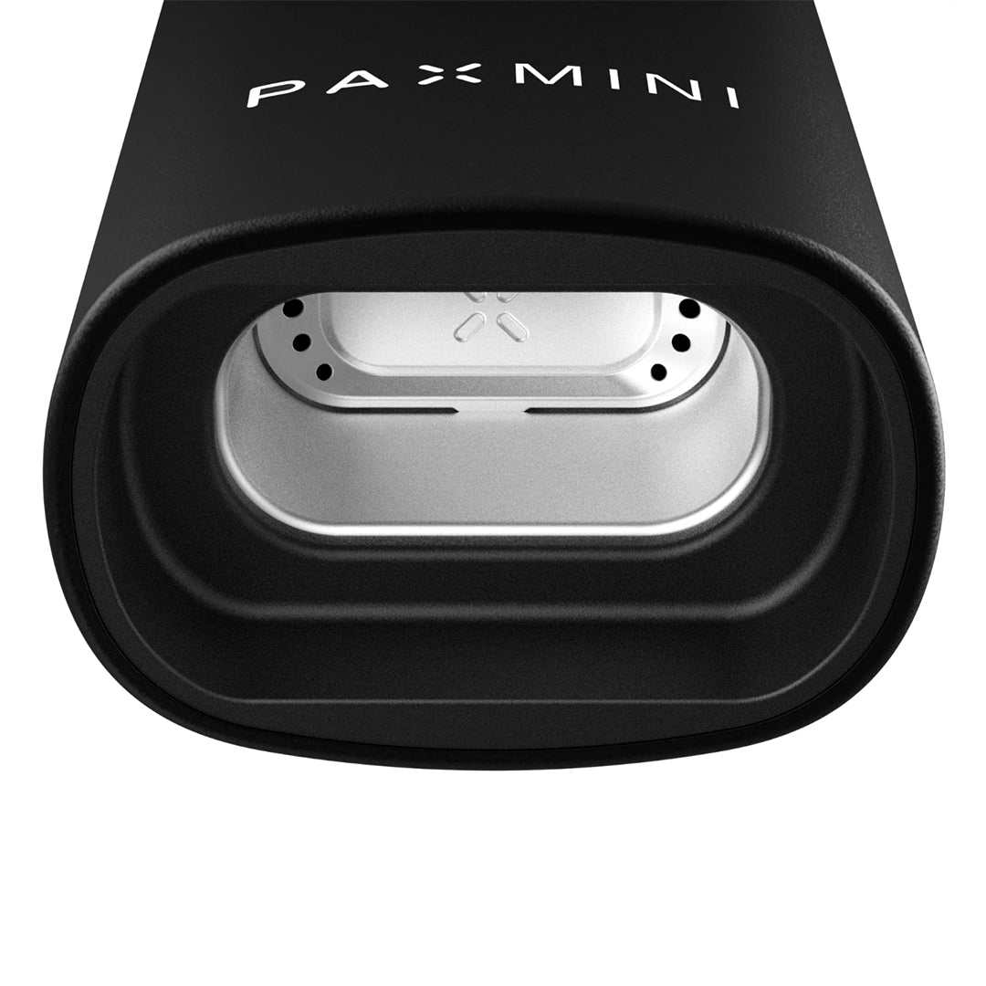PAX V2 Mini (2026) - Onyx - Smoking Cessation