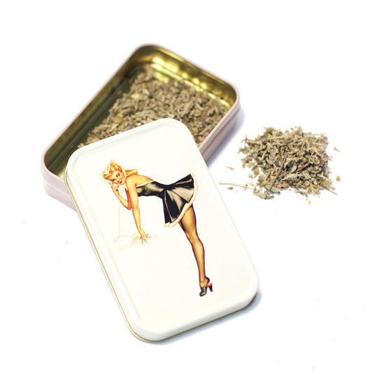 METAL TIN - BLONDE MAID PIN UP SET OF 2 The Bong Shop