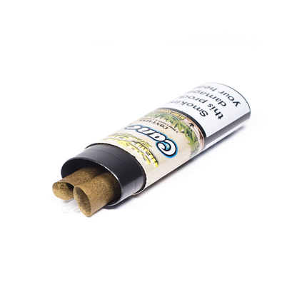 CYCLONES - XTRASLO HEMP CONE CANE DANK 7 TIP X2 Cyclones