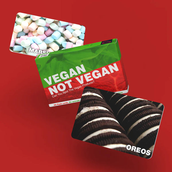 Games - Vegan Not Vegan Bubblegum Stuff